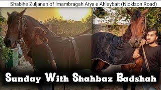 Sunday With Shahbaz Badshah | Beautiful Zuljanah of Lahore | Vlog