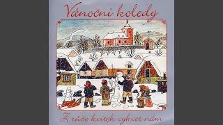 Pasli Ovce Valasi (Sheperded Sheep)