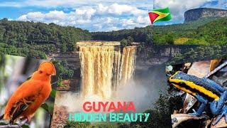 JOURNEY up the MAZARUNI RIVER EXPLORING HIDDEN WATERFALLS.