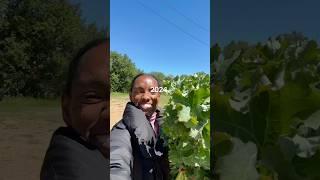 buying a 10 acre organic farm in alabama