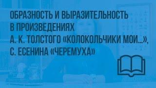 Образность и выразительность в произведениях А.К.Толстого,С.Есенина "Черемуха"