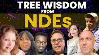 Incredible Tree Insights from Near Death Experiences !