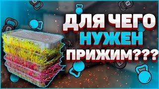 Прижим для микрозелени! Для чего он нужен? Бизнес микрозелень!