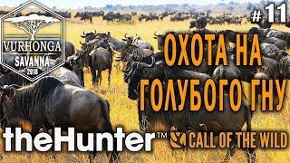 theHunter Call of the Wild #11  - Охота на Голубого Гну - Винтовка - Антилопа Гну