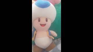 Toad (blue) hate zooming in
