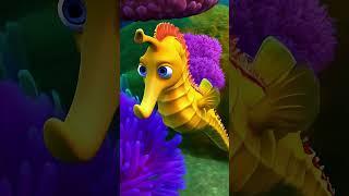 Meet Your 3D Ocean Friends - Hammerhead Shark & Seahorse | Fun Sea Animals for Kids