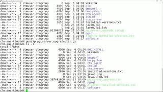 CWCM: Upgrading PostgreSQL Database After Control-M In-Place Upgrade