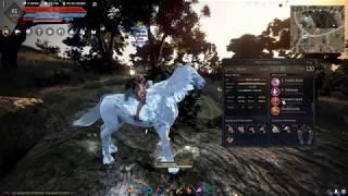 Black Desert: Getting the Perfect Skills on Your T9 Cheaply (ex. Arduanatt / Pegasus)