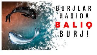 Burjlar haqida - Baliq Burji haqida malumot