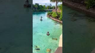 Disney Springs