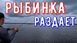 Вода бурлит от рыбы! Горбатый Окунь на каждом забросе!Рыбинское ВДХР.