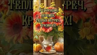 Доброе утро! Красивоепожелание#видео#красиваямузыка#shorts