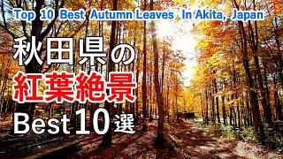 Top 10 best autumn leaves in Akita, Japan / Hachimantai, Lake Tazawa, Lake Towada, Shirakami-Sanchi