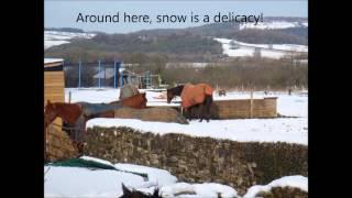 Frozen! The yard in snow!