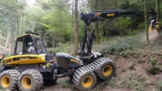 Mighty Machines In the Forest