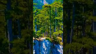 meditation, healing music, sleep meditation music,YouTube short,@S-M-R