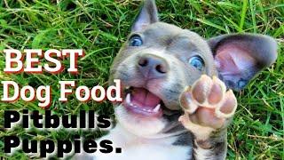 Best Dog Food For Pit bulls Puppies  | How to feed Your PIT BULL Puppies.