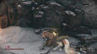 Sekiro - Snake Eyes Shirafuji takedown