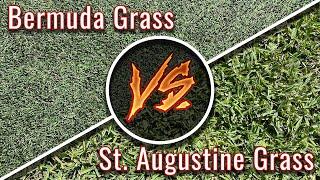 Bermuda Grass vs St. Augustine Grass | Warm Season Turf Types in Texas