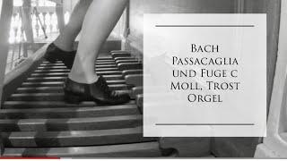 J.S. Bach Passacaglia Fuga BWV 582 C-Minor Trost Organ Waltershausen #pedal #pedalboard