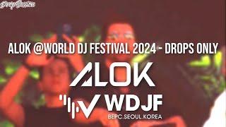 Alok @World DJ Festival 2024 - Drops Only