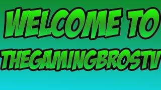 Welcome to THEGAMINGBROS