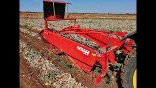 Grimme Onion Lifter