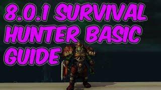 8.0.1 Basic Survival Hunter Guide - WoW BFA 8.0.1