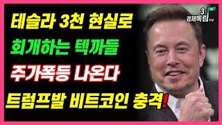 [테슬라 3천 현실로? 회개하는 텍까들!! 주가폭등 나온다!! 트럼프발 비트코인 충격!! ]#3.1경제독립tv