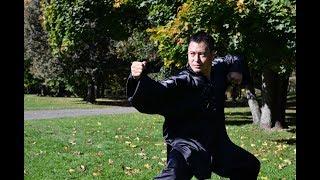 An Wushu - Jin Gang Ba Shi