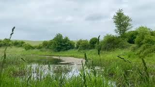 20 Sekunden Uckermark - Regen tut gut