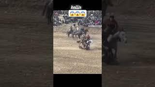 #horse #DUET#TJ.UZ.KZ.KG #kingtjk #rek #wwe #horseriding #horselover #лошади #duet #rek