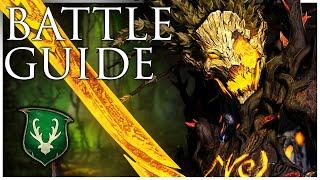 Wood Elves Immortal Empires Battle Guide | Total War Warhammer 3