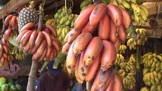 Stone Town. Африканский рынок. Фрукты, овощи, рыба. Возвращаемся в Nungwi. Занзибар 2021г.