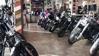 Dealership Harley-Davidson Novosibirsk - New Models