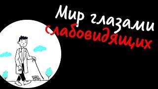 Мир глазами слабовидящих — Научпок | 12+