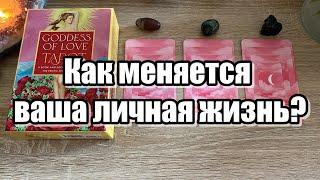 Как меняется ваша личная жизнь? Гадание на таро Расклад онлайн Tarot Reading