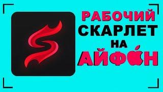 как скачать скарлет на айфон | scarlet на айфон | установить скарлет на айфон