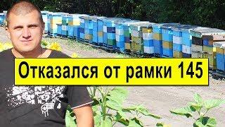 Почему отказался от гнездовой рамки на 145? Какие улья на моей пасеке?