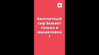 Где скачать бесплатные рабочие материалы для подготовки к олимпиадам для детей-билингвов. Домашка