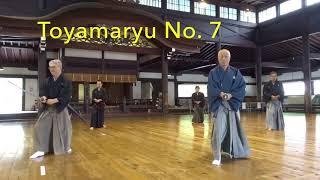 Toyamaryu Forms Kyoto Embu