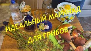 Идеальный маринад для грибов