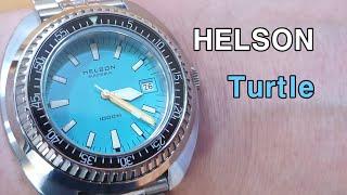 헬슨 (helson turtle) 돼지 거북이