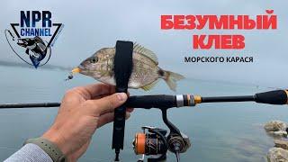 Безумный клев Морского карася (ласкирь) Эта приманка сделала эту рыбалку !!