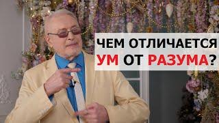 Академик Александр Савёлов об отличиях УМа от РАЗУМа