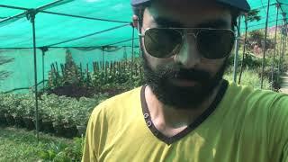 Visit nurcry farms in Sialkot vlog