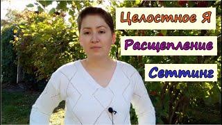 Целостное Я. Расщепление. Сеттинг в психотерапии. Терапия, сфокусированная на переносе. О. Кернберг