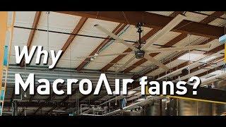 The Best Big Ceiling Fans | MacroAir Fans