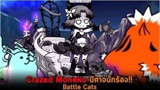 Crazed Moneko ปีศาจนักร้อง Battle Cats