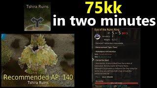 75kk in 2 minutes Tshira Ruins :Black Desert Online